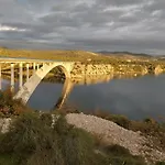 Arija-pino