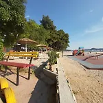 Arija-pino *