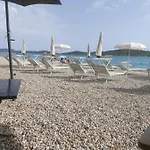 Arija-pino *