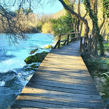 Arija-pino