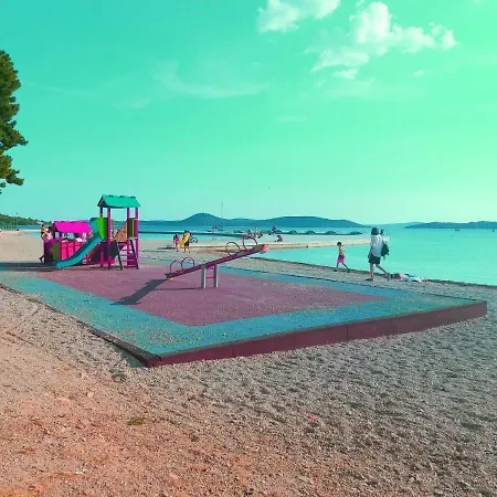 Arija-pino 沃迪切