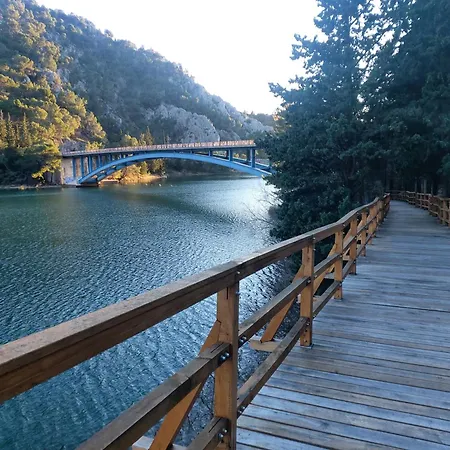 Arija-pino * 沃迪切